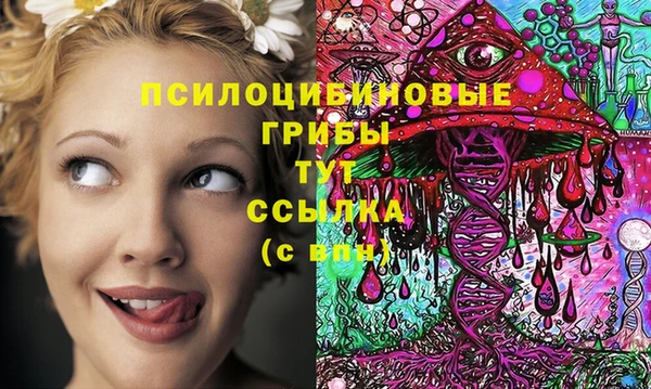 амф Новозыбков
